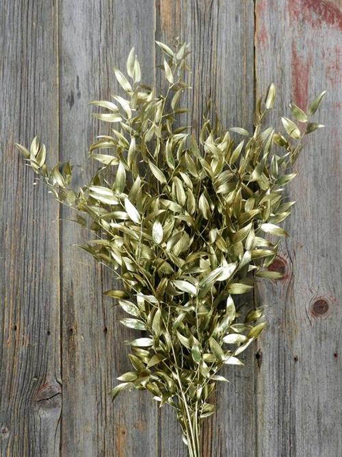 Wholesale Italian Ruscus Painted Gold Tinted Delivered Online | FlowerFarm