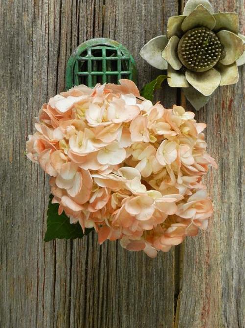 Wholesale Hydrangea Flowers Online | FlowerFarm