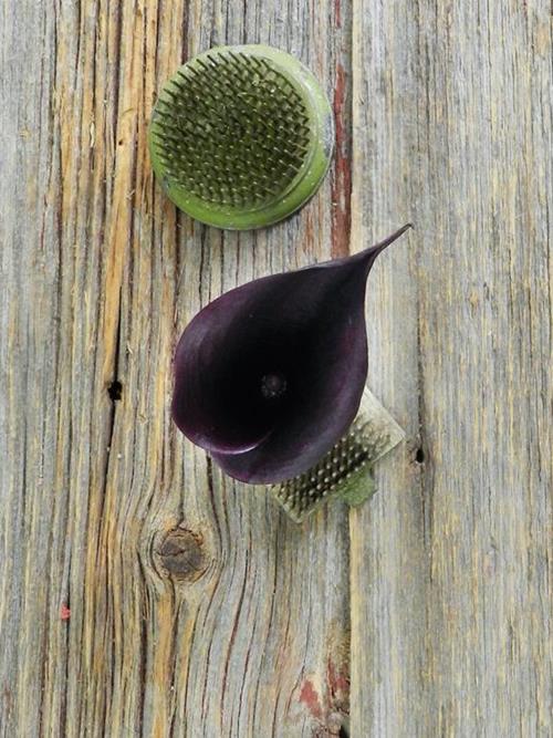 Wholesale Schwarzwalder Black Mini Callas Delivered Online 